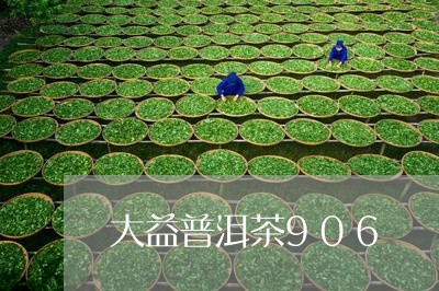 大益普洱茶906/2023040937241