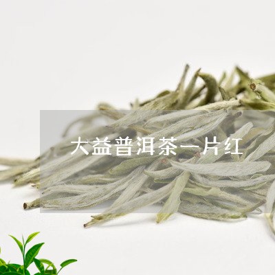 大益普洱茶一片红/2023033098181