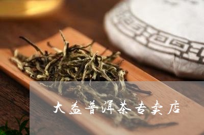 大益普洱茶专卖店/2023041430814