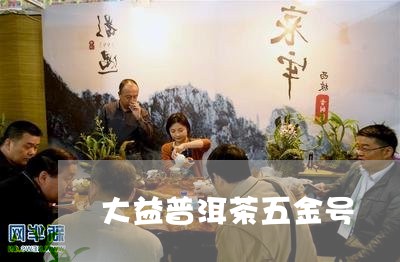 大益普洱茶五金号/2023033019504