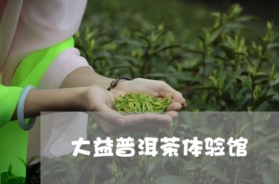 大益普洱茶体验馆/2023031713926