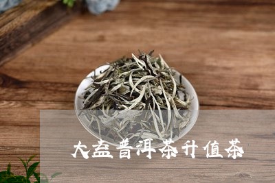 大益普洱茶升值茶/2023031606147