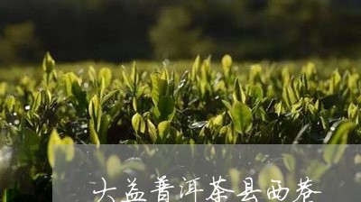 大益普洱茶县西巷/2023033143946