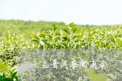 大益普洱茶哪有卖/2023033135150