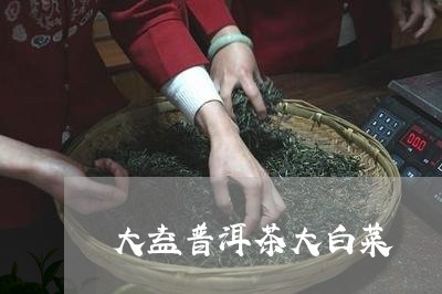 大益普洱茶大白菜/2023031753837