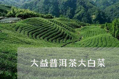 大益普洱茶大白菜/2023041333836