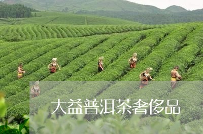 大益普洱茶奢侈品/2023033093895