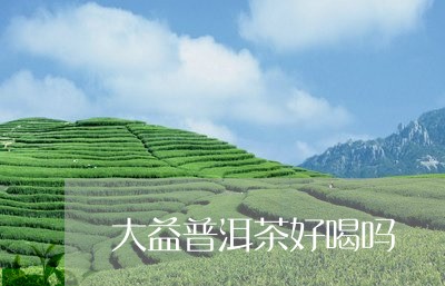 大益普洱茶好喝吗/2023041333046