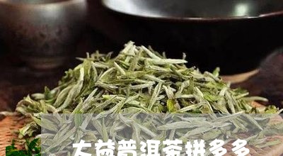 大益普洱茶拼多多/2023031738471