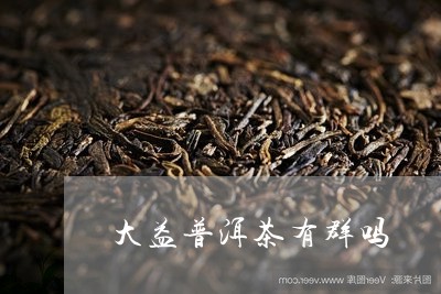 大益普洱茶有群吗/2023033133948