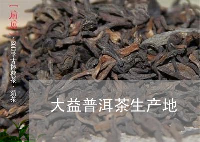 大益普洱茶生产地/2023031893726