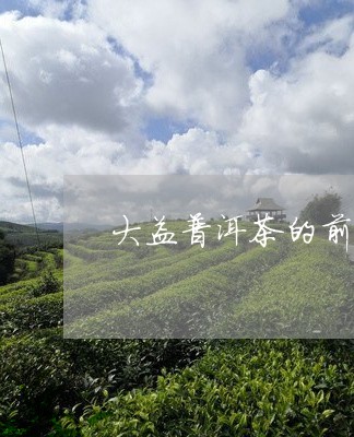 大益普洱茶的前景/2023041207058