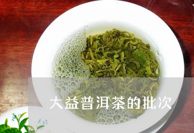 大益普洱茶的批次/2023041238271