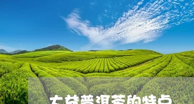 大益普洱茶的特点/2023041378491