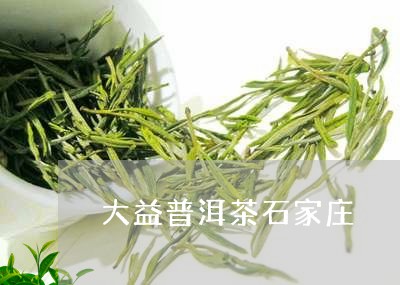 大益普洱茶石家庄/2023040194048