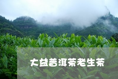 大益普洱茶老生茶/2023041185958