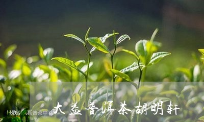 大益普洱茶胡明轩/2023040170826