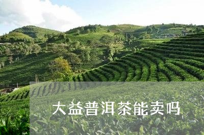 大益普洱茶能卖吗/2023033162736