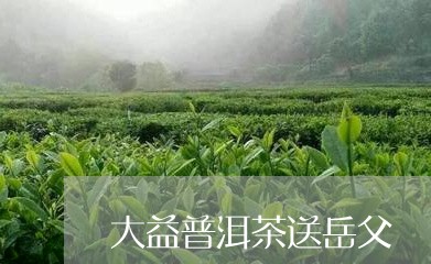 大益普洱茶送岳父/2023031797470