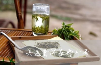 大益普洱茶那个号/2023040199602