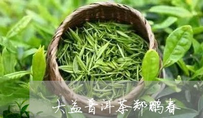 大益普洱茶郑鹏春/2023033170915