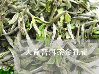 大益普洱茶金孔雀/2023031615942