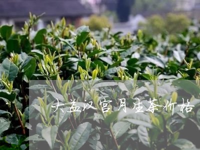 大益汉宫月生茶价格/2023032237293