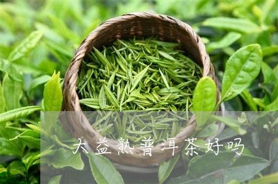 大益熟普洱茶好吗/2023031697515