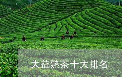 大益熟茶十大排名/2023041347282