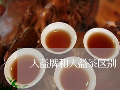 大益牌和大益茶区别/2023032296169