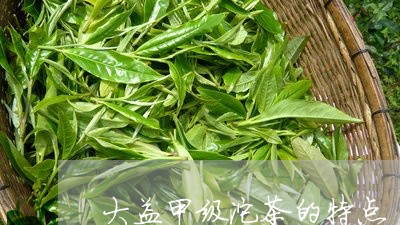 大益甲级沱茶的特点/2023032270836