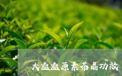 大益益原素茶晶功效/2023032280814