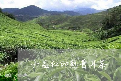 大益红印熟普洱茶/2023033107594