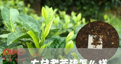 大益老茶砖怎么样/2023032601785