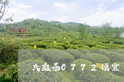 大益茶0772便宜/2023032249615