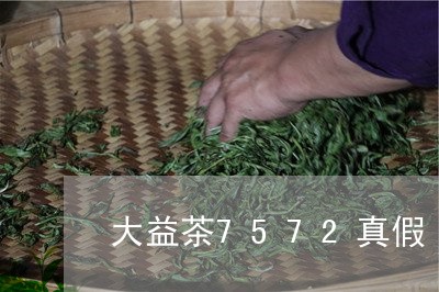 大益茶7572真假/2023032225157