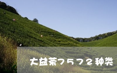 大益茶7572种类/2023032184837