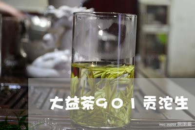 大益茶901贡沱生/2023032231813