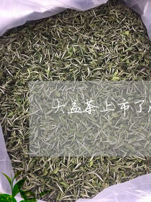 大益茶上市了没有/2023032640469