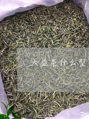 大益茶什么型号好喝/2023032249483