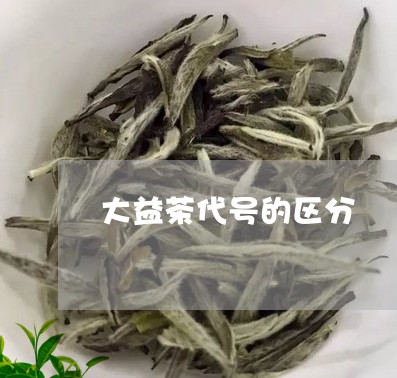 大益茶代号的区分/2023032604048