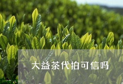 大益茶代拍可信吗/2023032665039