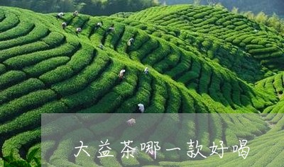 大益茶哪一款好喝/2023032640693