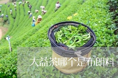 大益茶哪个是布朗料/2023032242840