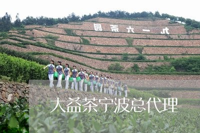 大益茶宁波总代理/2023032629394