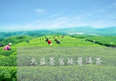 大益茶宫廷普洱茶/2023041236151