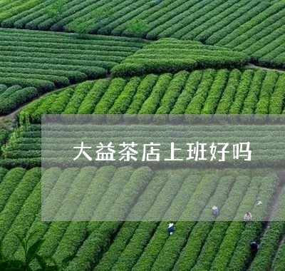 大益茶店上班好吗/2023032642646