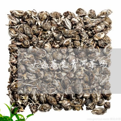 大益茶是普洱茶吗/2023031801716