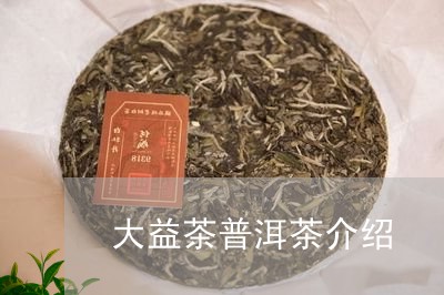 大益茶普洱茶介绍/2023031667592