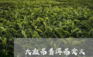 大益茶普洱茶定义/2023031609682